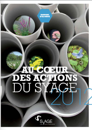 au coeur des actions du syage 2012